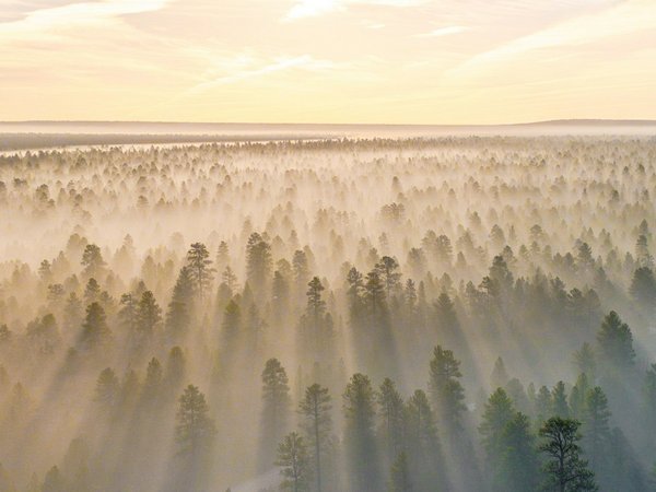 Büroräume einer Agentur