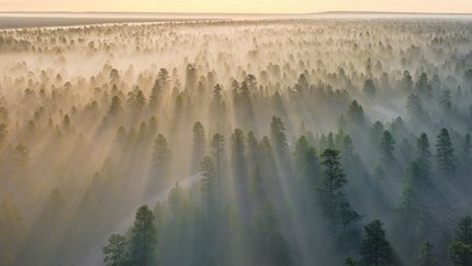 Büroräume einer Agentur