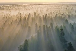 Büroräume einer Agentur