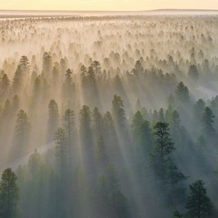 Büroräume einer Agentur